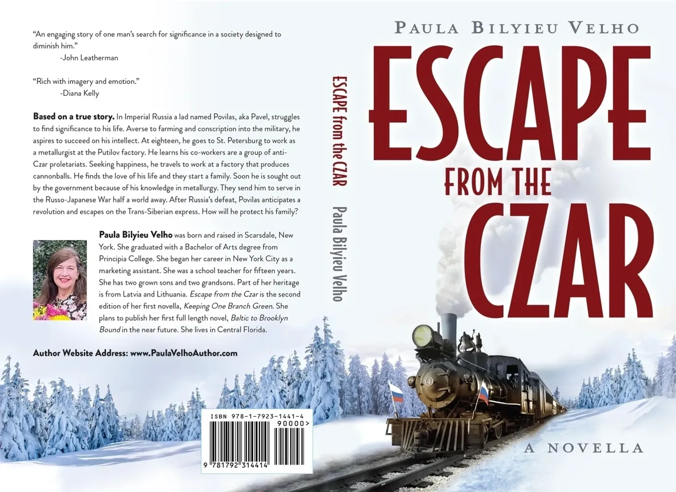 A book cover with train on tracks in the snow.